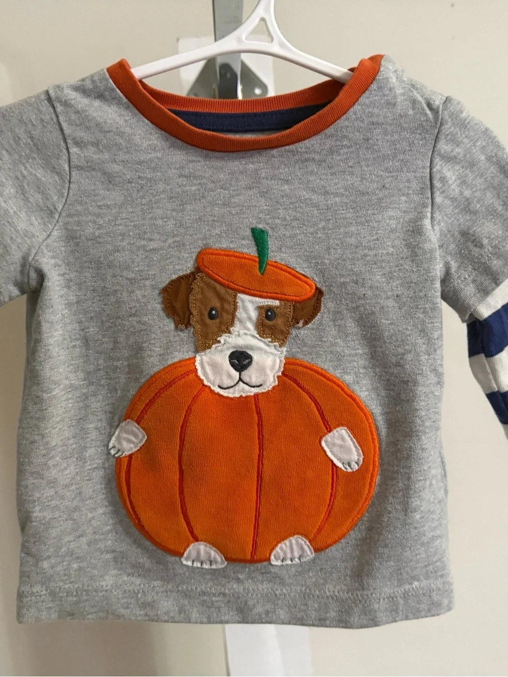 Baby Boden Dog in Pumpkin Appliqué Shirt